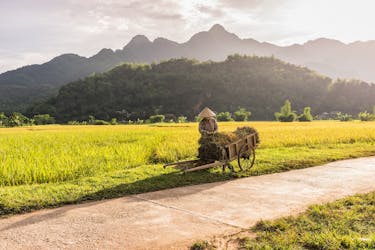 Visite guidée de deux jours de la vallée de Mai Chau
